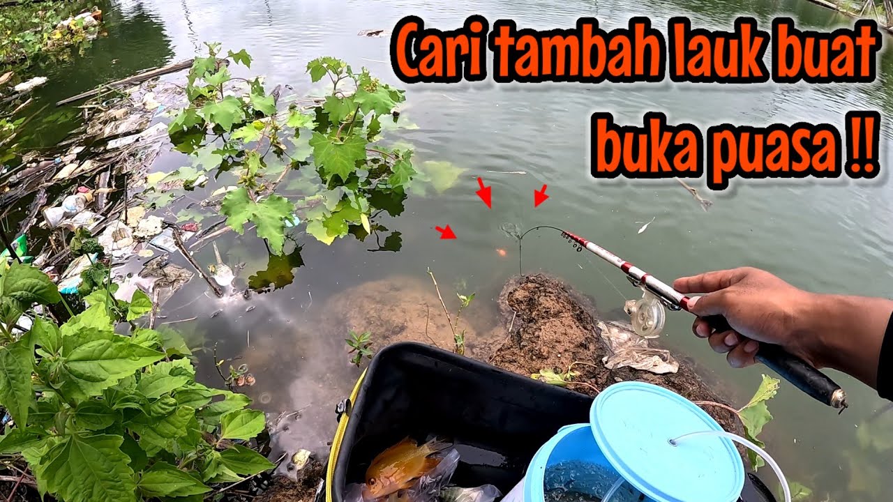 CARI TAMBAH LAUK BUKA PUASA ‼️ KEBETULAN SPOTNYA BAGUS BANGET || mancing ikan red devil NAHOL MANIA