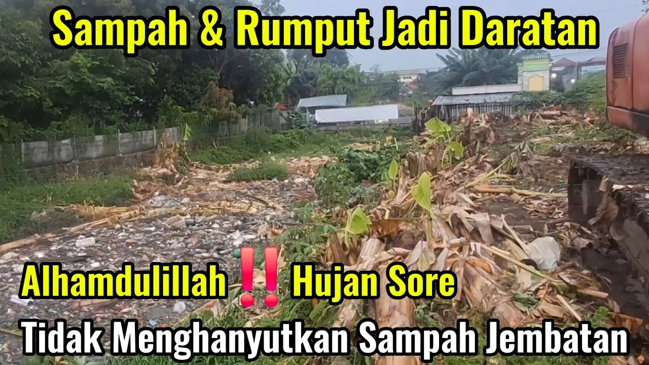 Hujan Sore Tidak Menghanyutkan Sampah Jembatan || LUMPUR & Rumput Kali Kapuk Menumpuk #dedimulyadi