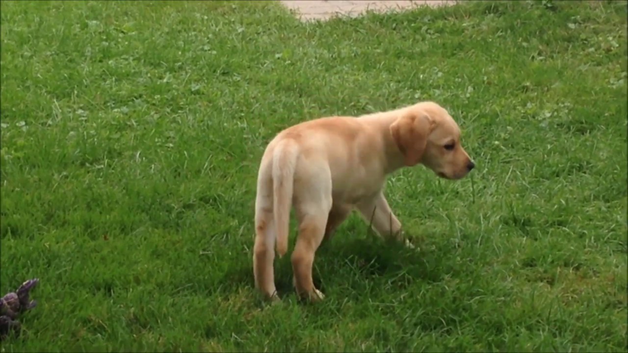 006BroD The Unactive Bro D The Daily Bro D Episode 3