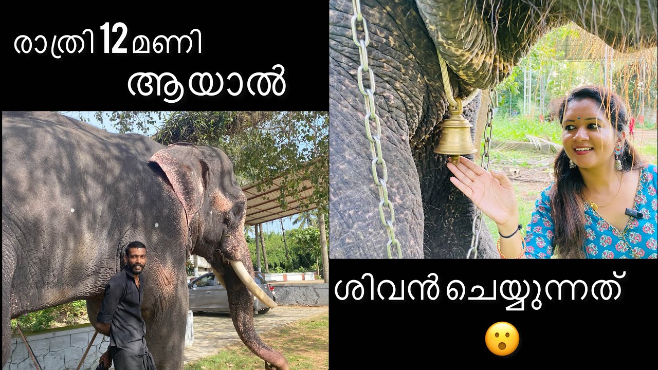 രാത്രി പന്ത്രണ്ട് മണി ആയാൽ ശിവന്റെ പരിപാടിയെ കുറിച്ച് പൊക്കൻ രാജേഷ്|vadakumnathan sivan|sarisway