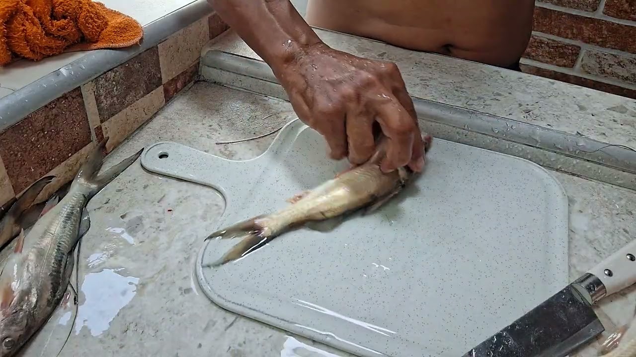 Como arreglar un pescado nicuro f&aacute;cil y r&aacute;pido.