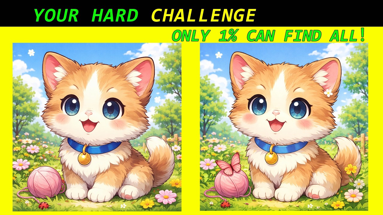 Spot the Difference (Episode 44) | Miss One and You Fail — The Ultimate 1% Difference Challenge