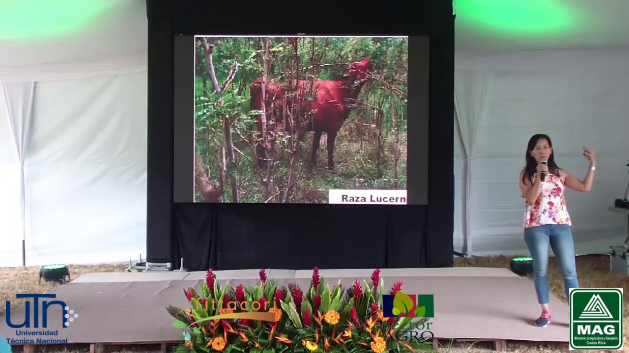 5. Utilización de harina de Botón de Oro (Tithonia diversifolia). Dr. Liliana Mahecha Ledesma.
