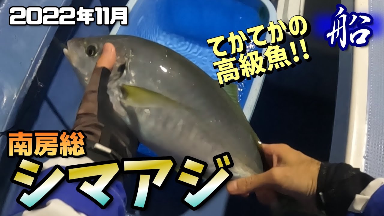 【船釣りシマアジ】11月！シマアジ釣るのです。