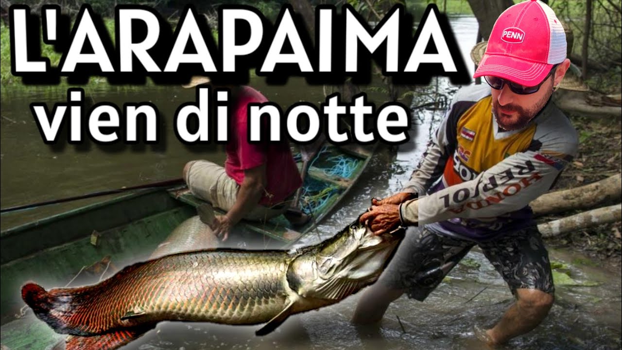 River Monsters Italia - Pescare Pesci Tropicali a PAVIA