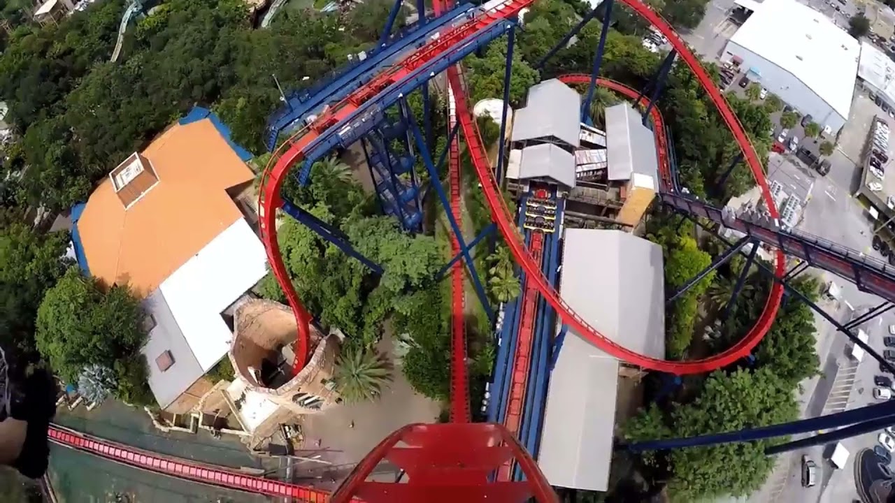 SheiKra Busch Gardens Tampa On Ride POV