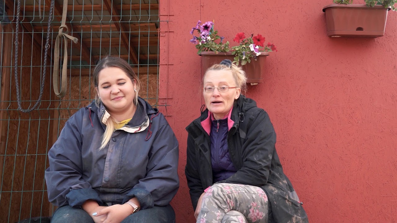 Doku Hundehilfe Russland - Tierheim Kazan, 2019