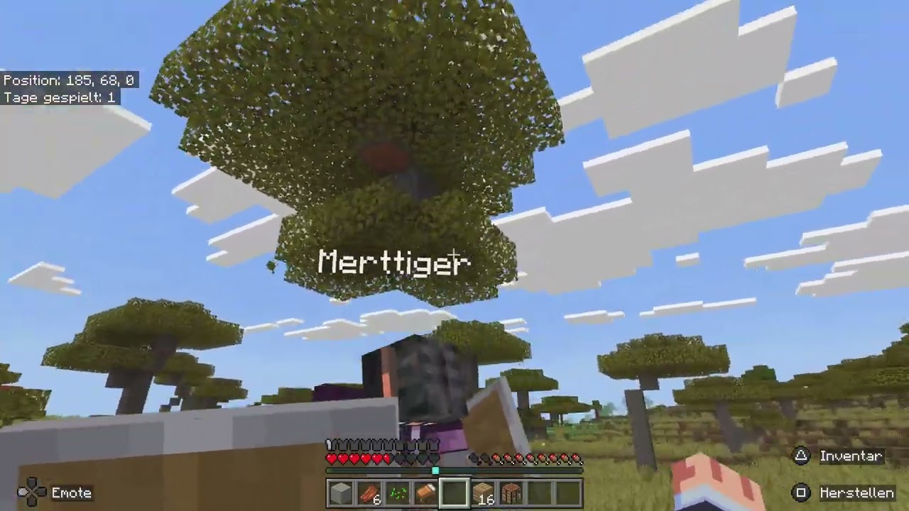 Minecraft