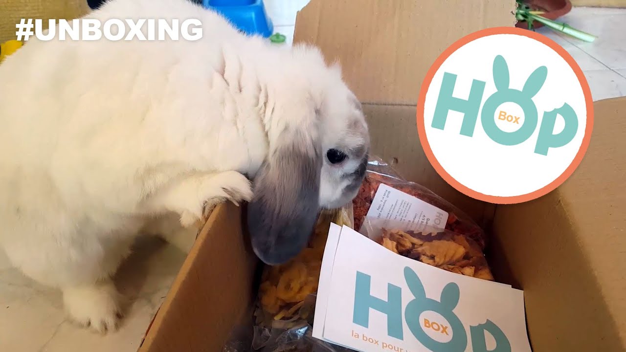 Mav' teste la HopBox ! Unboxing friandises pour lapins