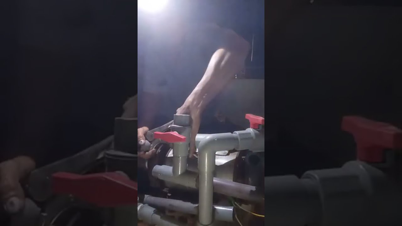 Mùng 8 tết lúc 19h30