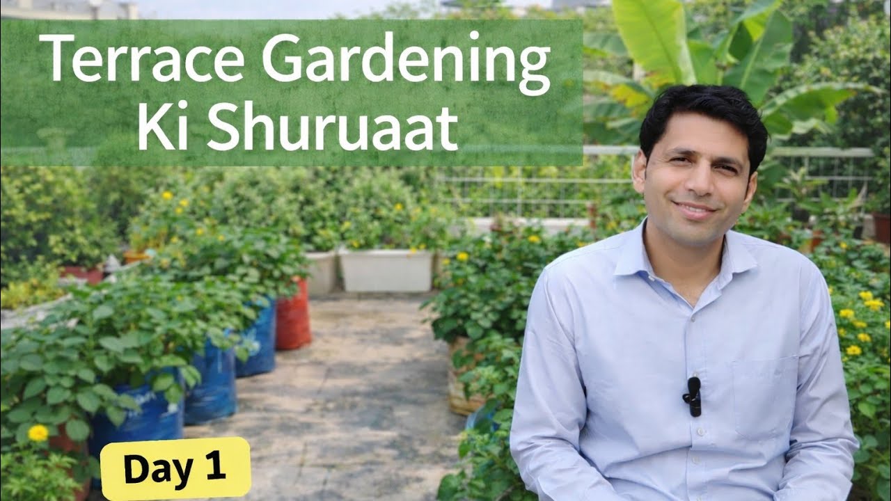 Maine Terrace Gardening Kaise Shuru Ki? | Chhat Par Garden Banane Ki Shuruaat 🌱
