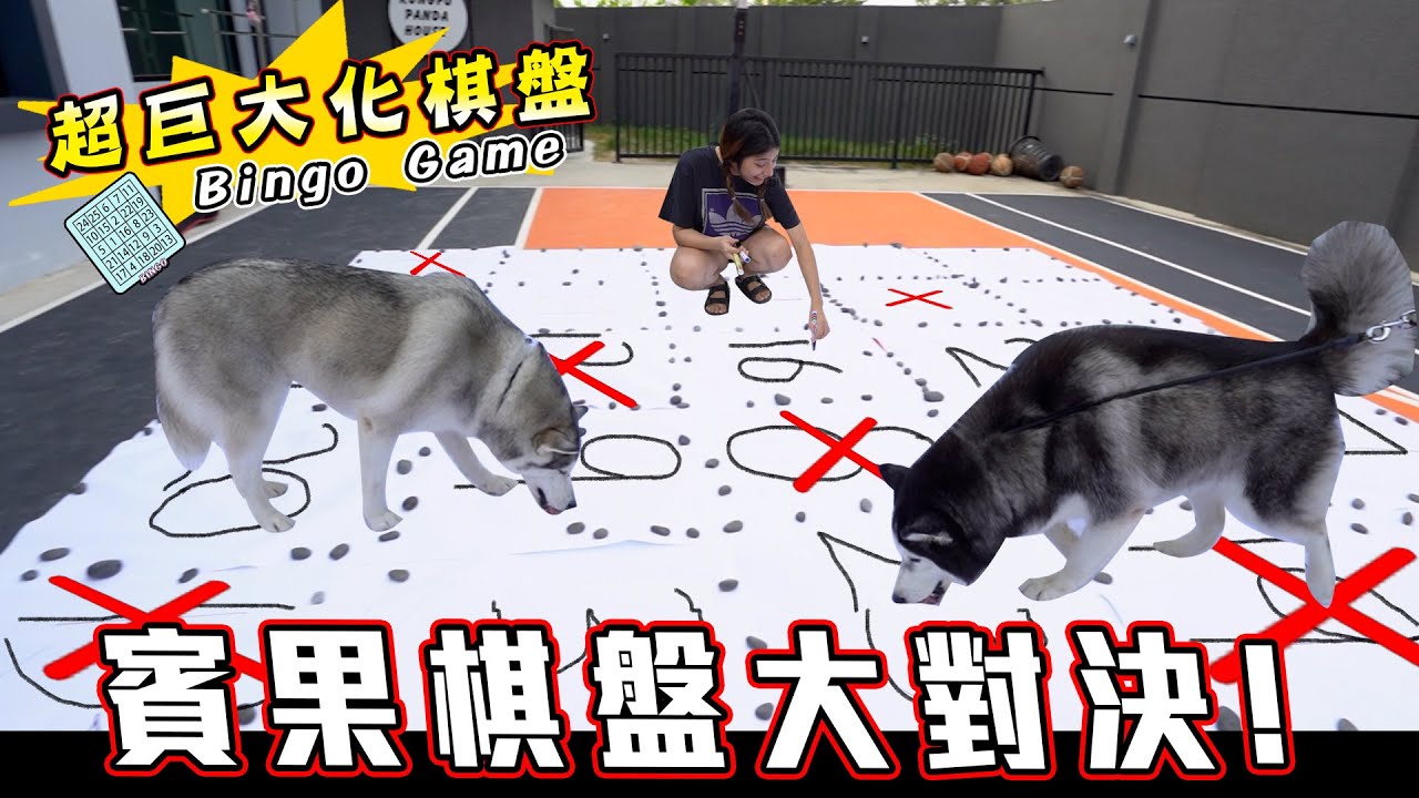 主人將家裡後院改造成（巨大化賓果棋盤），贏家竟是？超狂計畫 ！A Very Intense Game Of Giant Bingo。。。