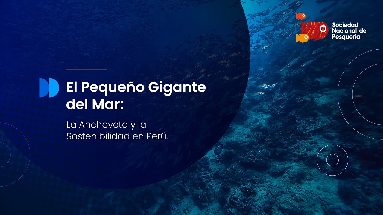 El pequeño gigante del mar: La anchoveta y la sostenibilidad en Perú