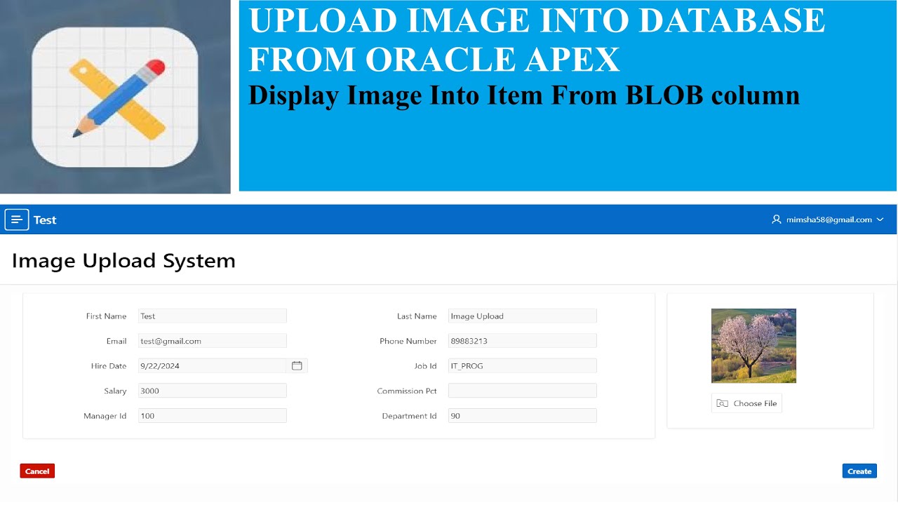 Oracle Apex Image Upload- Tips and Trics || Display Image From Database into Item