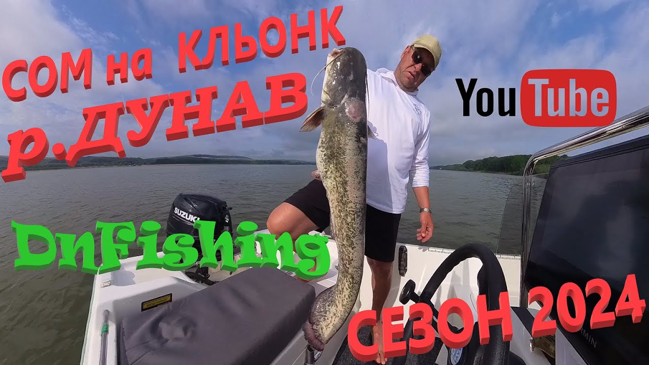 СОМ на КЛЬОНК ! Река ДУНАВ СЕЗОН 2024! CATFISHING : WITH CLONK ! Danube River!