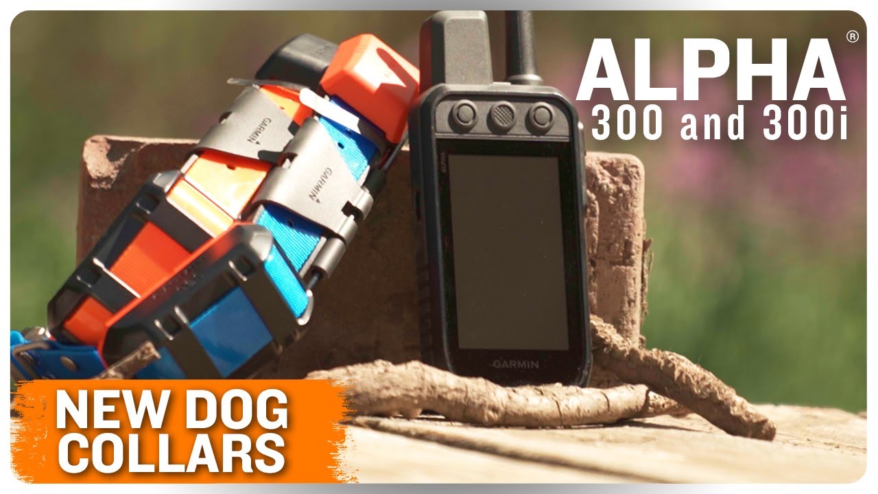 Lead Your Pack with Ease | Alpha® 300 series