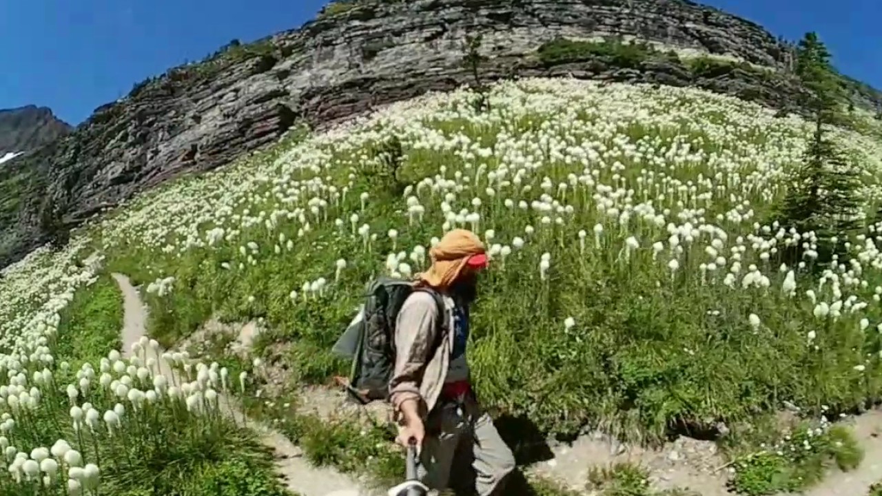 Walking through the bear grass, Glacier NP