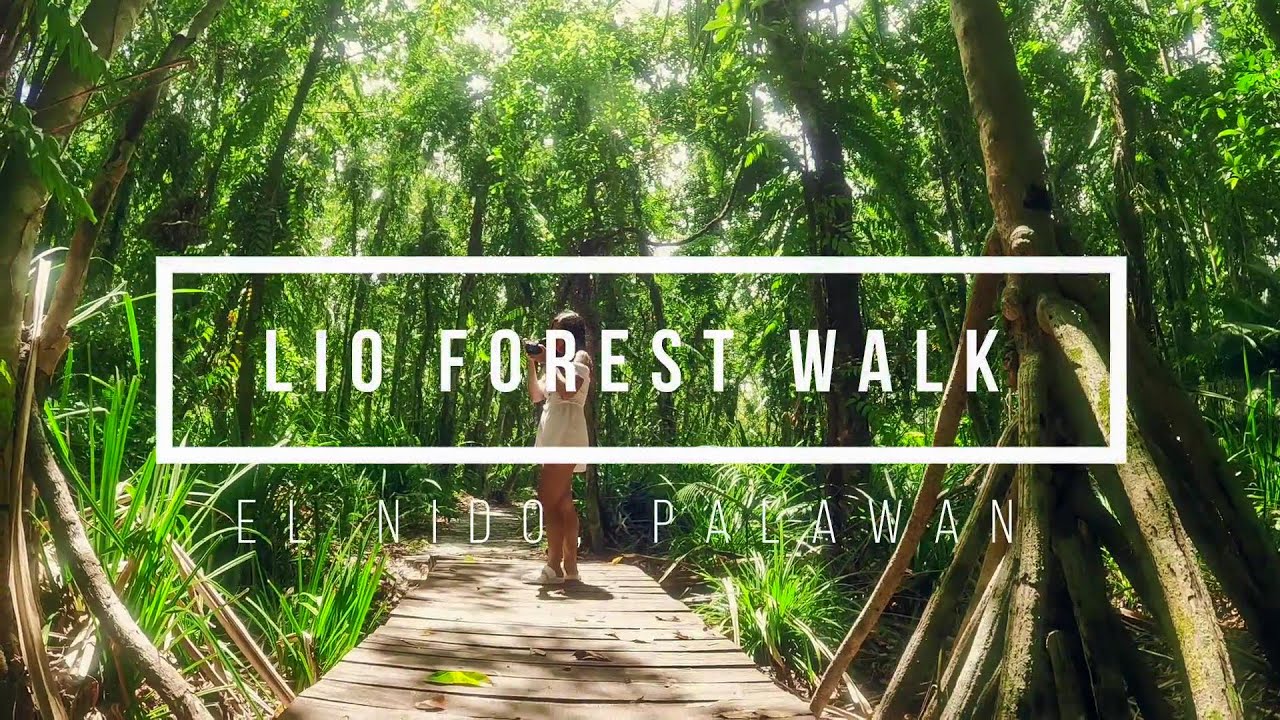 LIO FOREST | LIO BEACH | EL NIDO PALAWAN