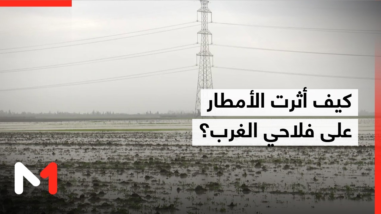كيف أثرت التساقطات المطرية على فلاحي الغرب؟