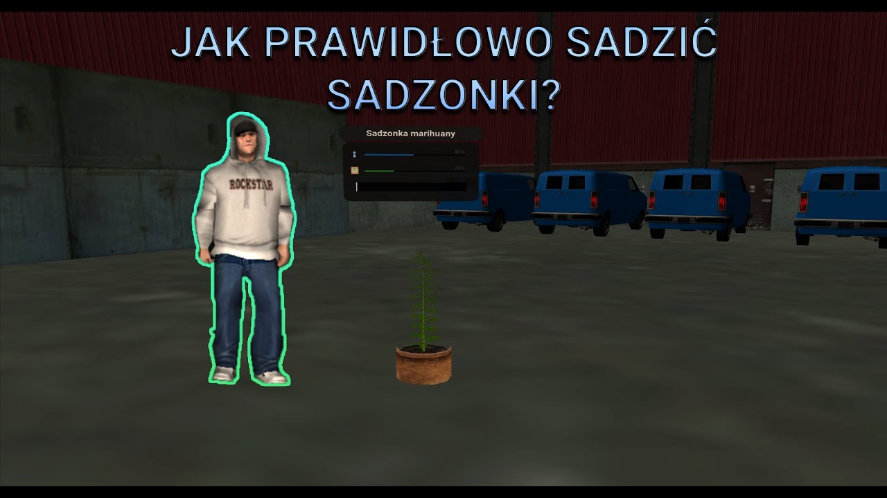 Jak sadzić sadzonki? | Poradnik NoNameRPG MTA