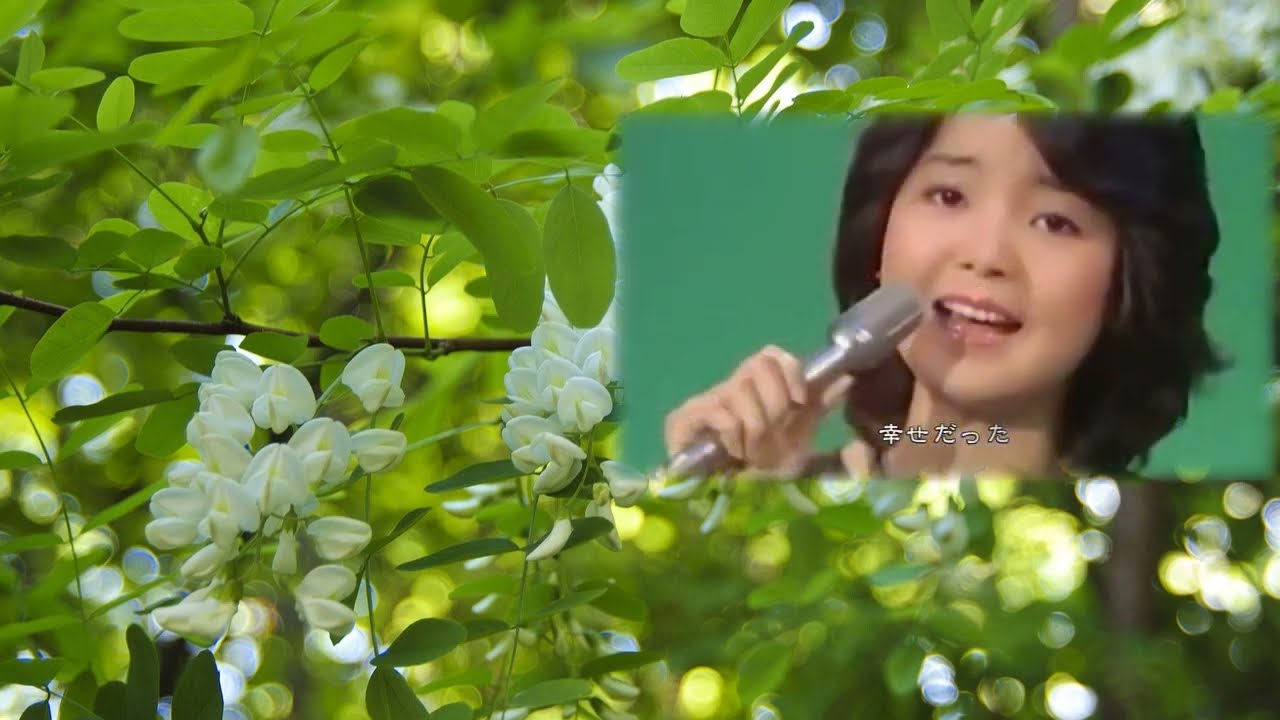 アカシアの夢 Dream of Acacia (1975/1977/1985)　アジアの歌姫 鄧麗君 Teresa Teng テレサ・テン
