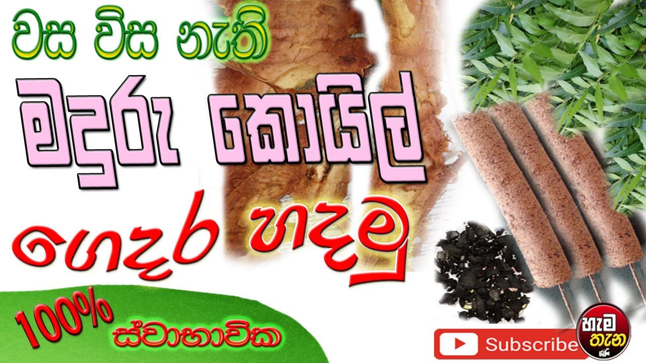 වස විස නැති මදුරු කොයිල්  ගෙදර හදමු :  How to make Mosquito repellent sticks : DIY homemade