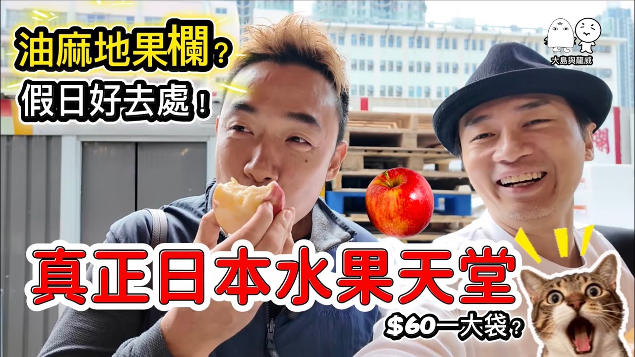 香港假日好去處丨日本蘋果大王就在油麻地？丨大島與龍威