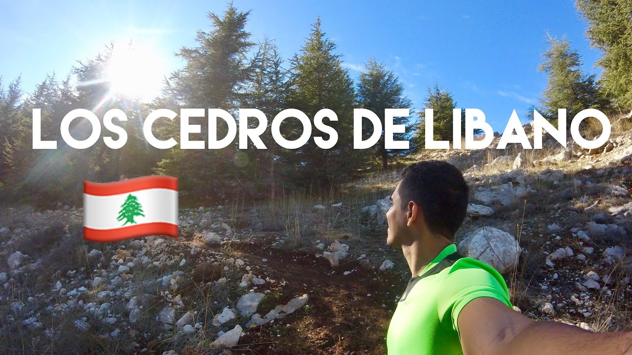 El hogar del cedro liban&eacute;s - Visitando Al-Shouf, la mayor reserva de la biosfera en L&iacute;bano.