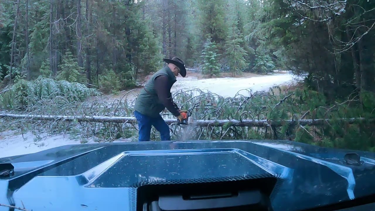 Travel up Dry Creek after the storm Thompson