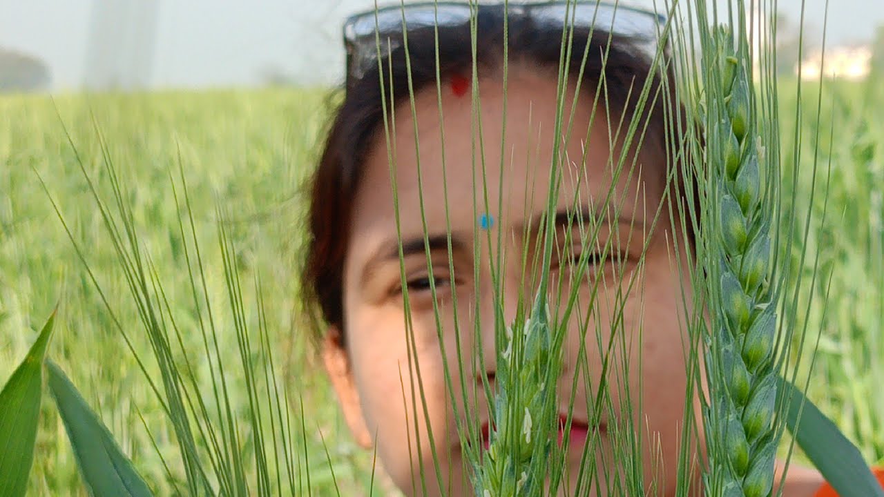 दोस्तों गुड नाइट सो रहे हो तो