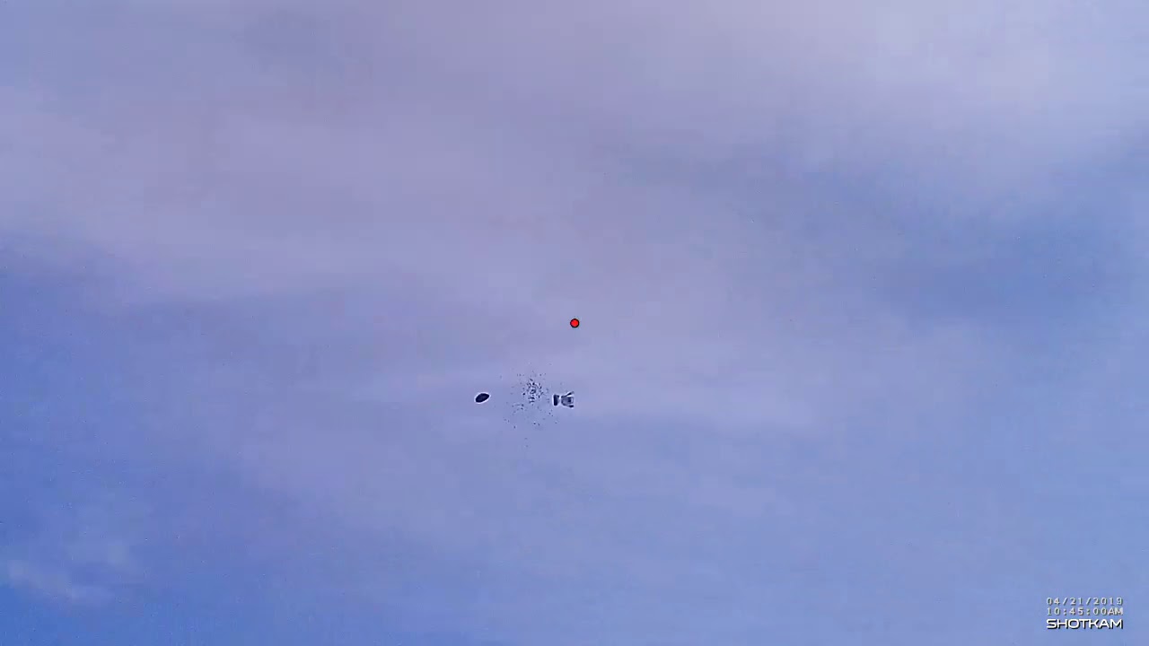 TIRO A VOLO PERCORSO CACCIA : ALLENAMENTO