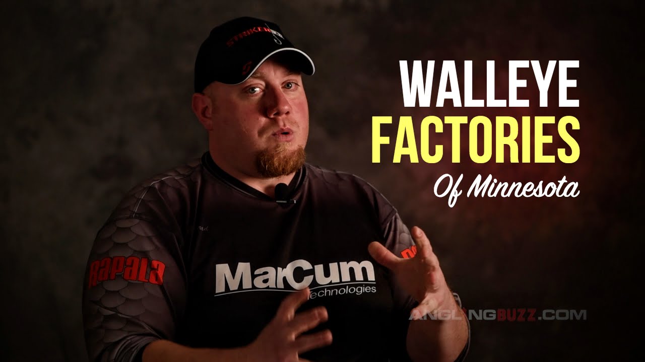 Match Walleye Tactics to Forage Species and Water Clarity