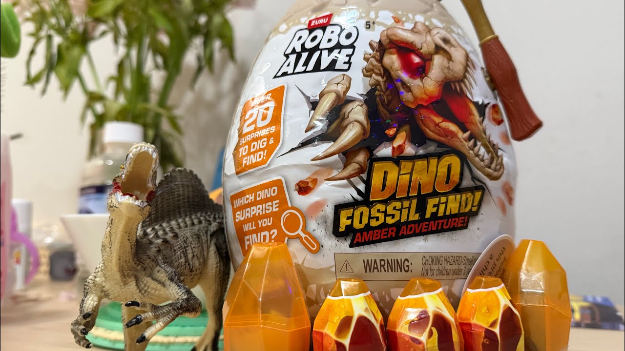 Dino Fossil Find