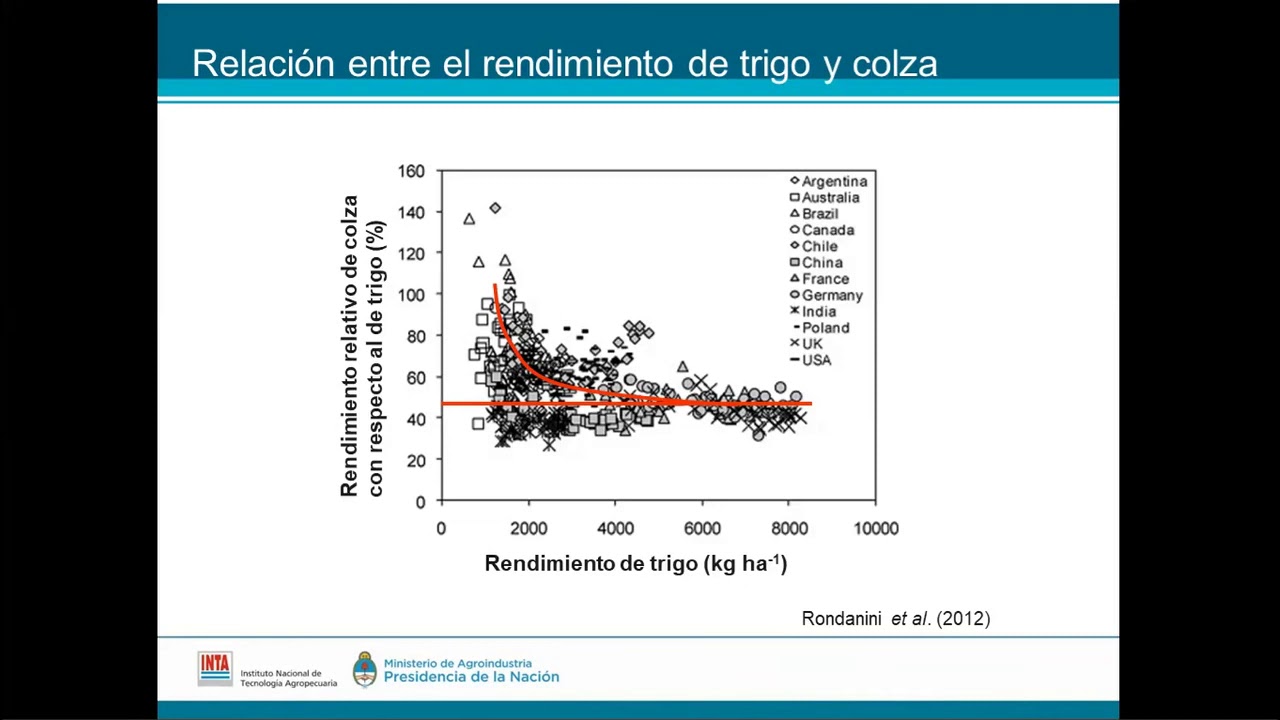 Claves del Manejo de Colza