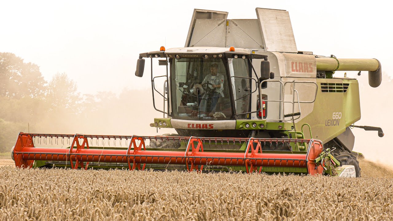 ✩ 🇵🇱 DUŻE ŻNIWA PSZENICY 2024 Z NOWYM NABYTKIEM ✔ 4X JOHN DEERE & NEW HOLLAND & CLAAS LEXION ☆ GRM ☆