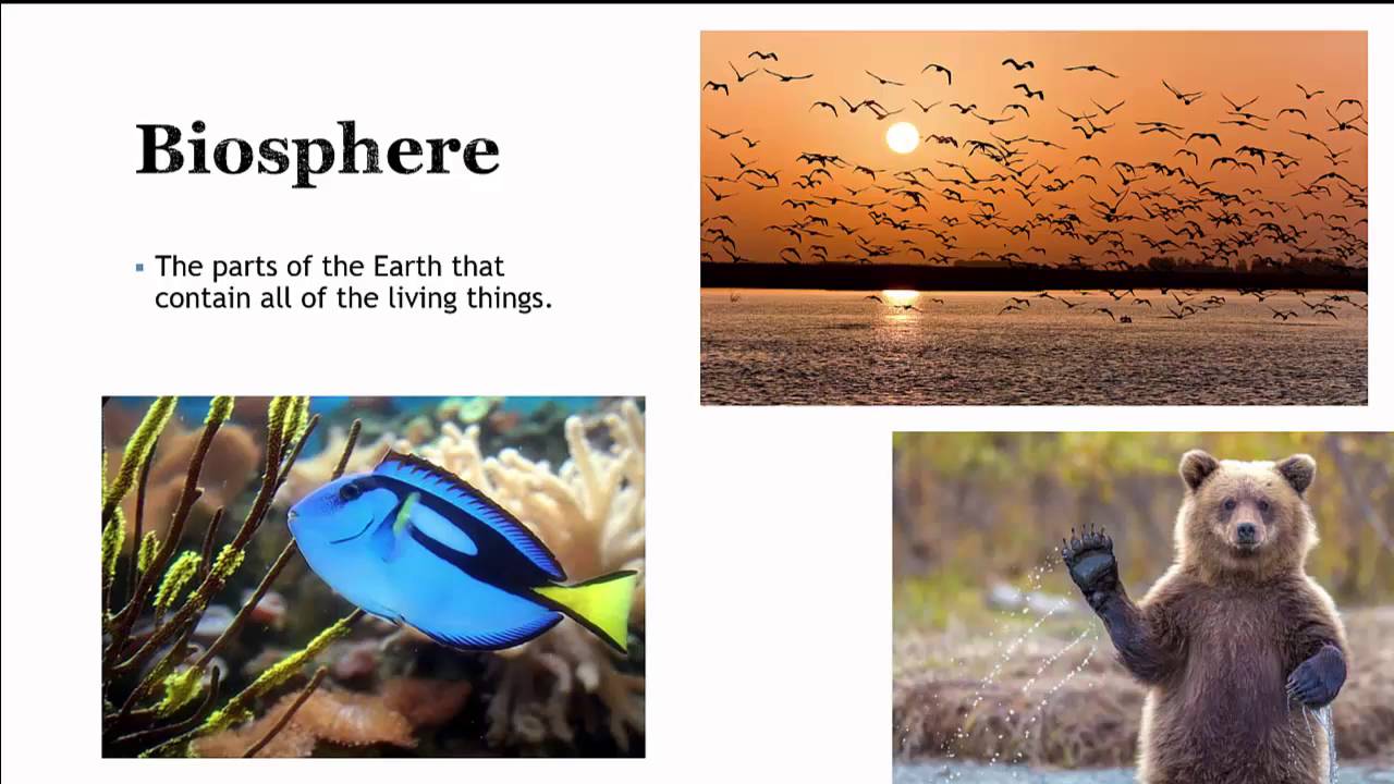 Geology Unit 1 Vcast 2: Earth Spheres