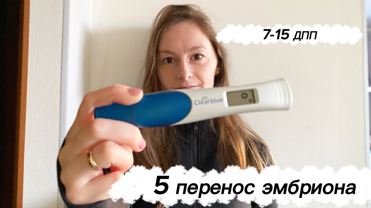 Я беременна!🤰/7-15 дпп/5 победный перенос
