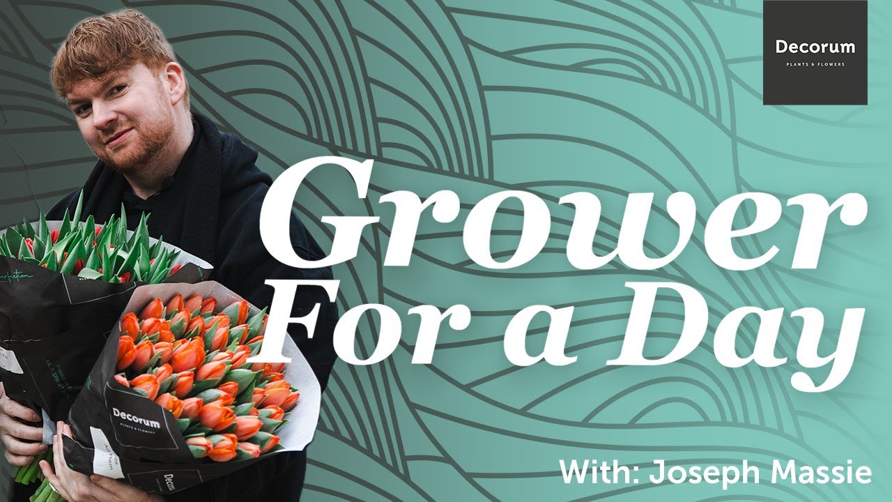 GROWER FOR A DAY - EPISODE 1   (With : Joseph Massie)