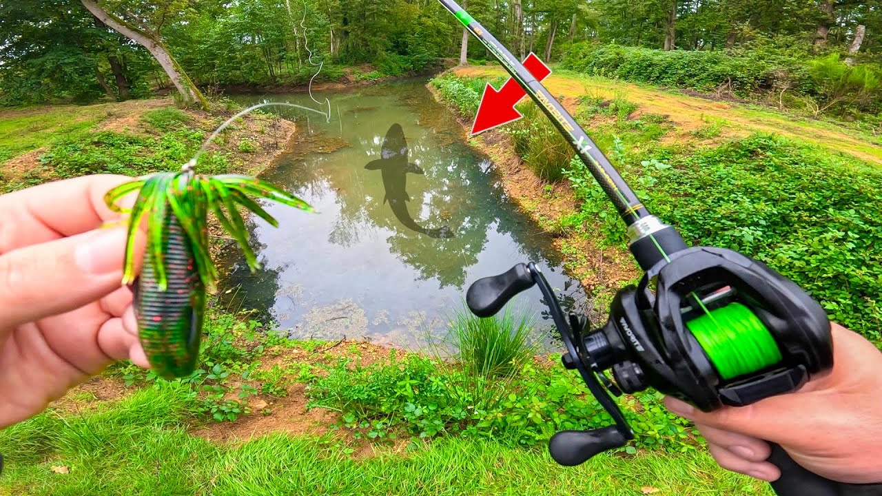 Poisson inattendu en pleine compétition de pêche , cette stratégie rapporte GROS !!!