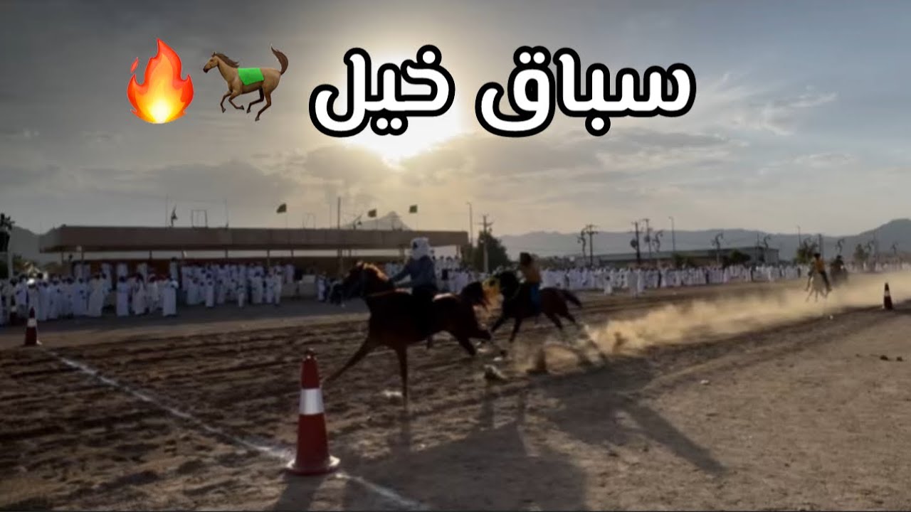فلوق سباق خيل في الحضن 🐎🔥🔥