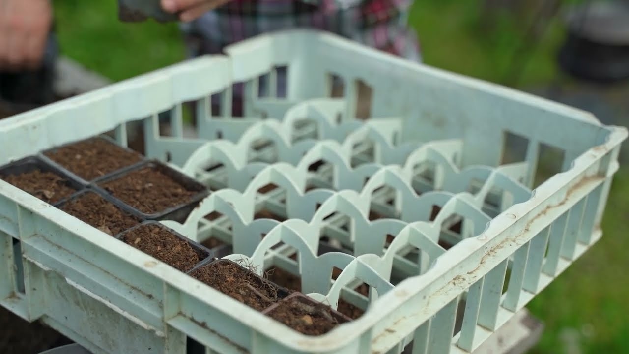 Tajna mog vrta ep. 223 09.05.2025. Mineralna i organska đubriva, organo-mineralna đubriva, supstrati