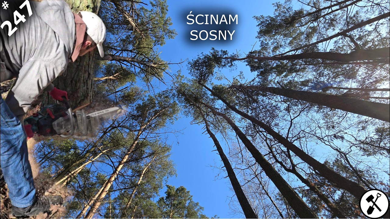 Siedlisko - reanimacja odc.247 