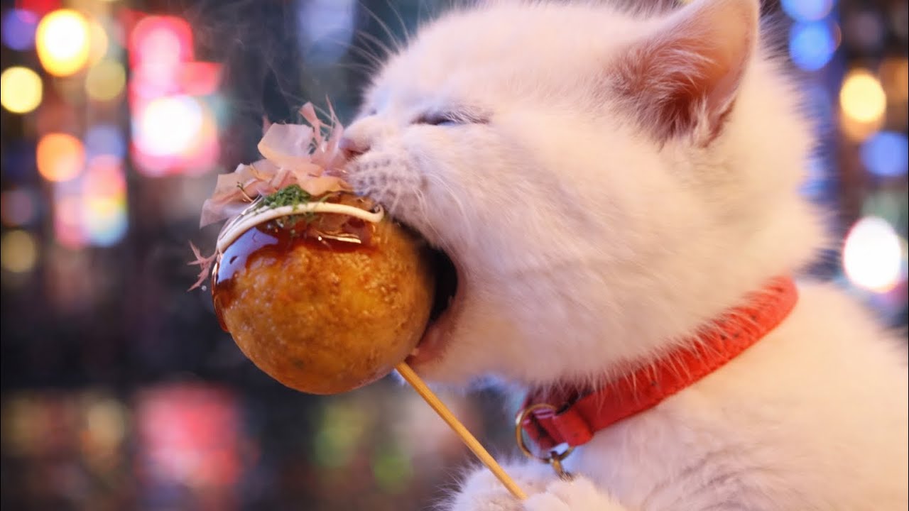 Mochi at Dotonbori, Osaka, Japan | Takoyaki, Okonomiyaki, and Kushikatsu Tour