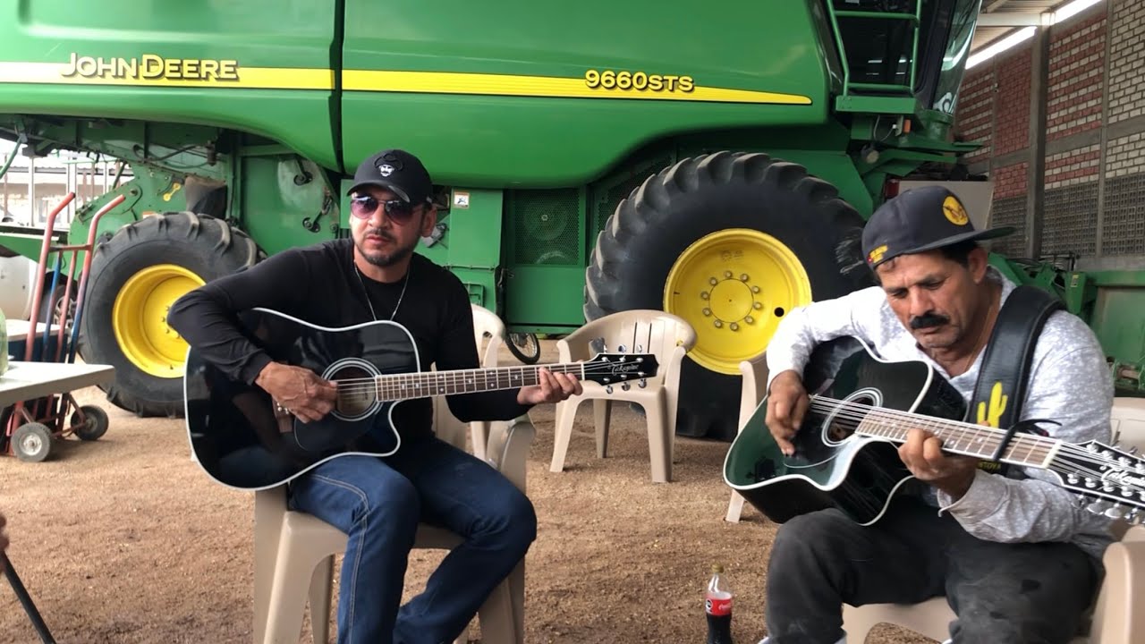 Medias Negras - Migueles de Miguel Montoya