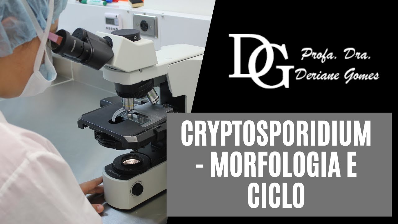 018. Cryptosporidium - Morfologia e Ciclo