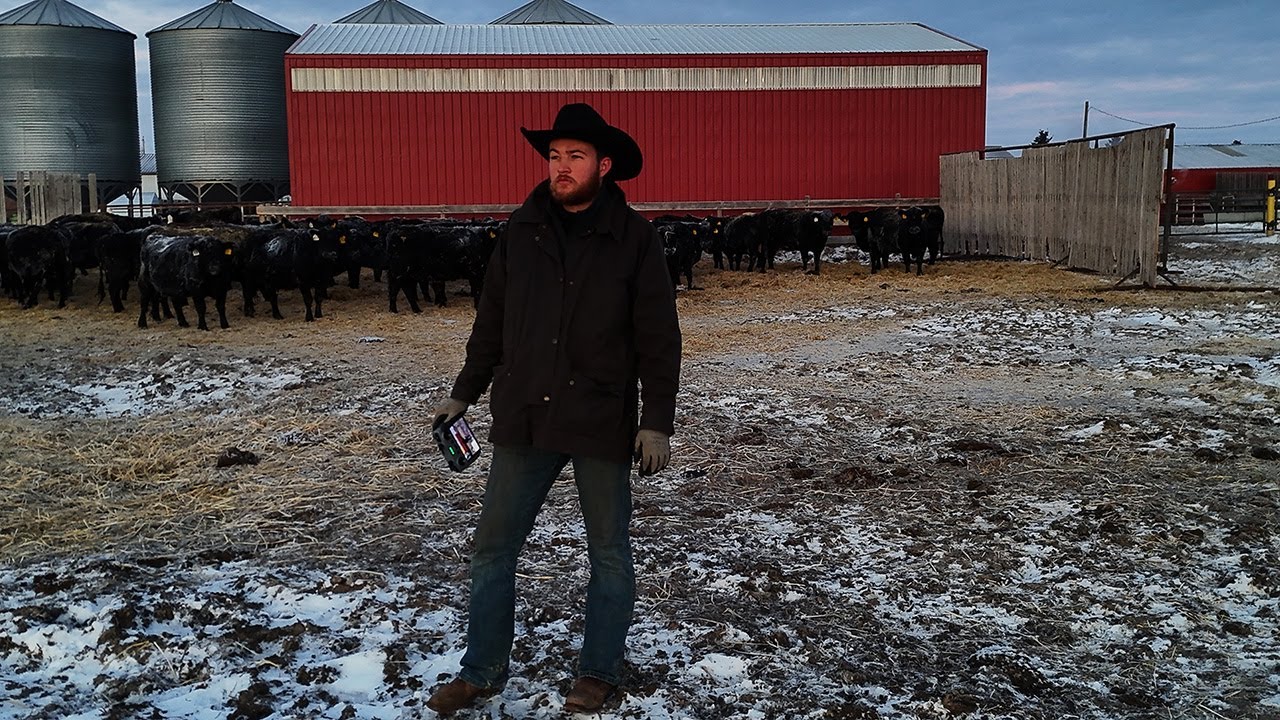 What it takes to Cowboy In Alberta, Canada!! IT'S A COLD ONE!!! Season S2 E4