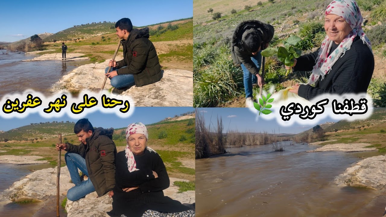 قطفنا عشبة اللوف( كوردى 🌿)رحنا على نهر عفرين 😍