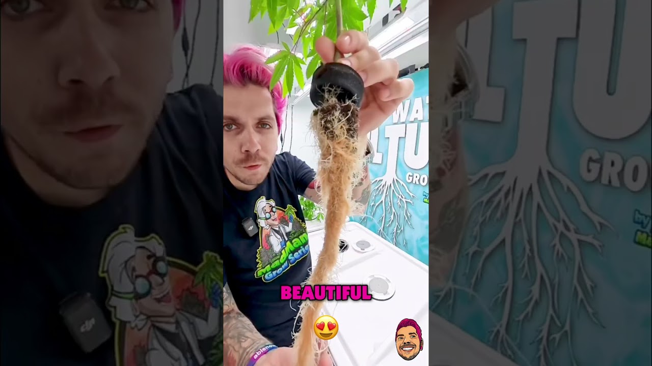 Super Berry & Boof: Epic Root Reveals in Hydroponic Lab! 