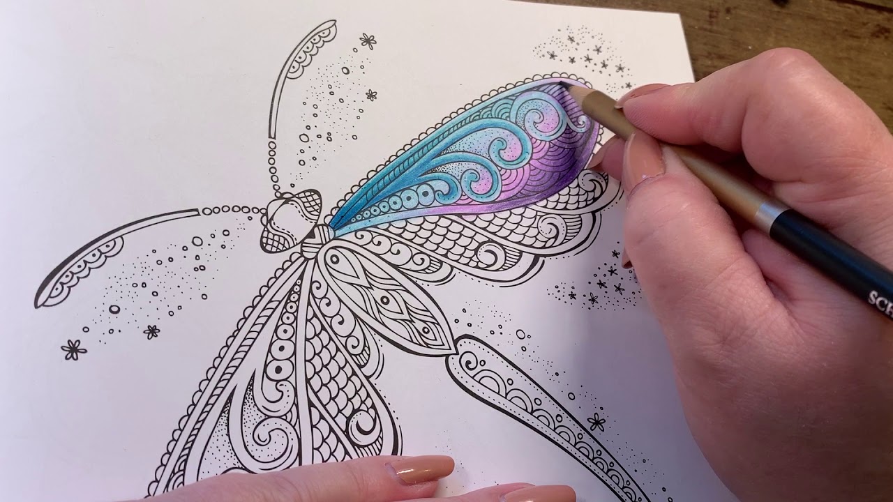Adult Coloring - Schpirerr Farben pencils, dragonfly