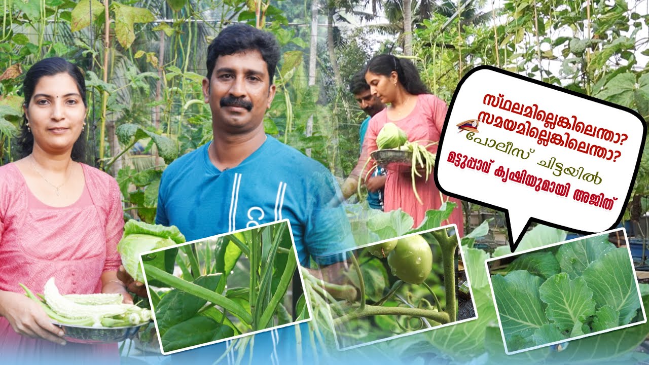 Episode 768 -സ്ഥലമില്ലെങ്കിലെന്താ?  സമയമില്ലെങ്കിലെന്താ?പോലീസ് ചിട്ടയിൽ മട്ടുപ്പാവ് കൃഷിയുമായി അജിത്
